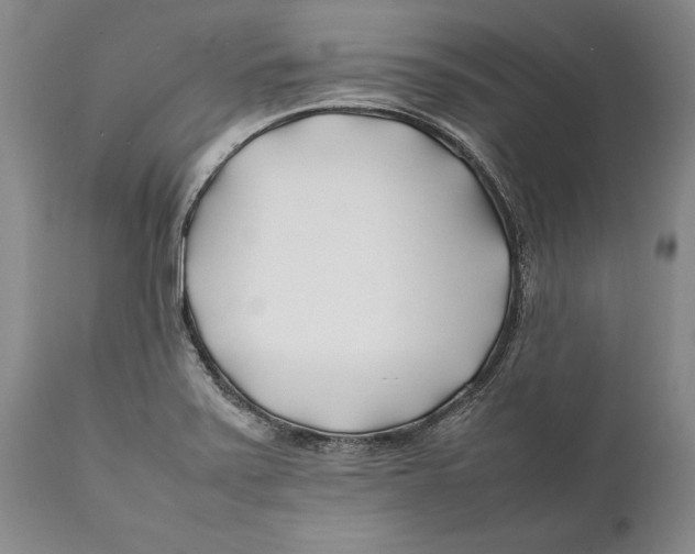 X0000112371371200909101311