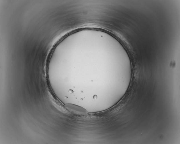 X0000112371372200909101311
