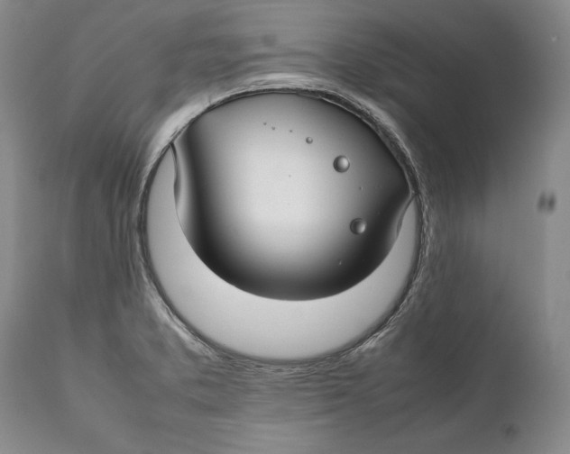 X0000112371373200909101311