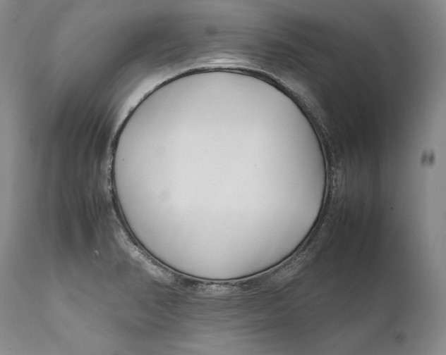 X0000112371374200909101311