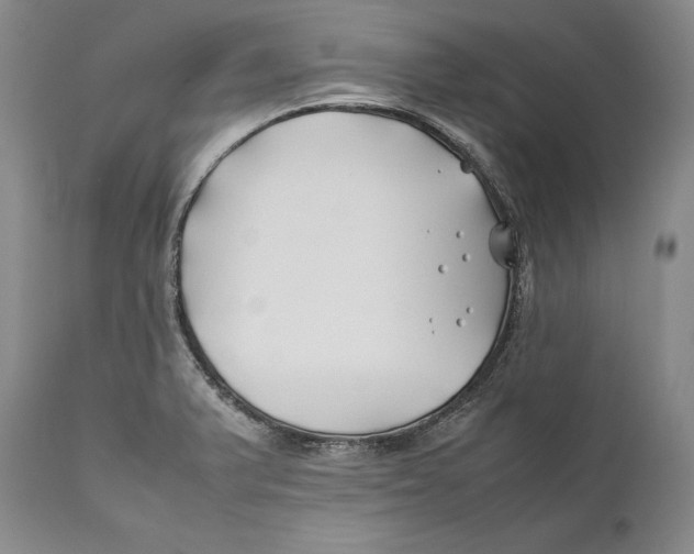 X0000112371375200909101311