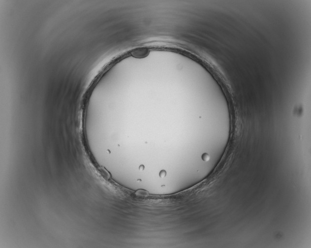 X0000112371376200909101311