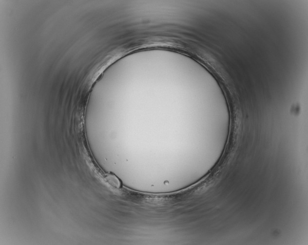 X0000112371377200909101311