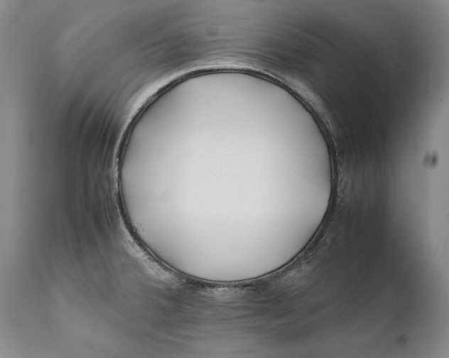 X0000112371380200909101311