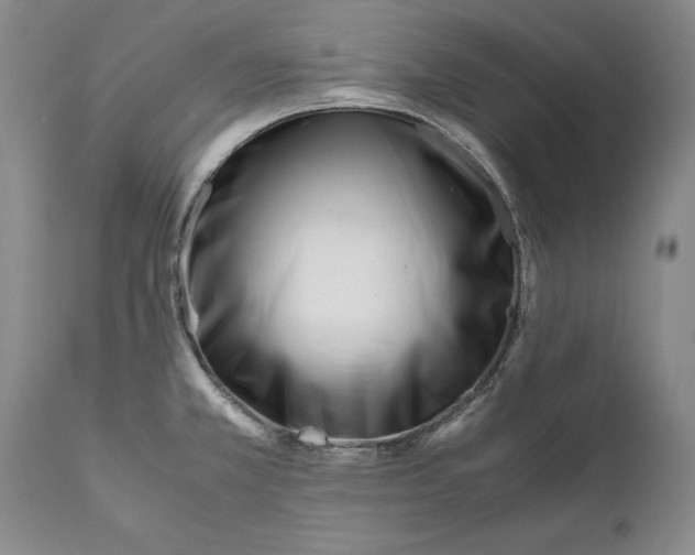 X0000112371381200909101311
