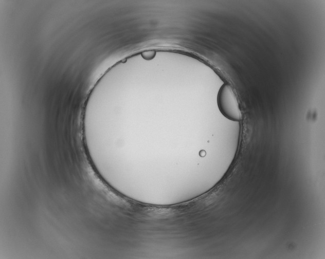 X0000112371382200909101311