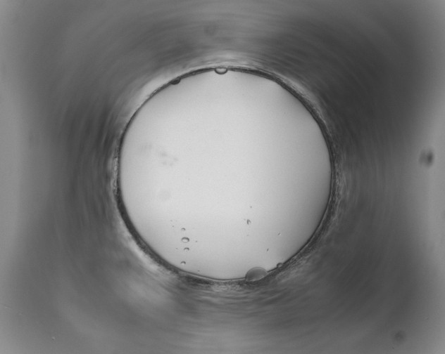 X0000112371383200909101311