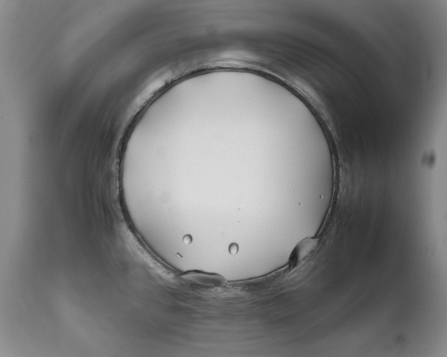 X0000112371384200909101311