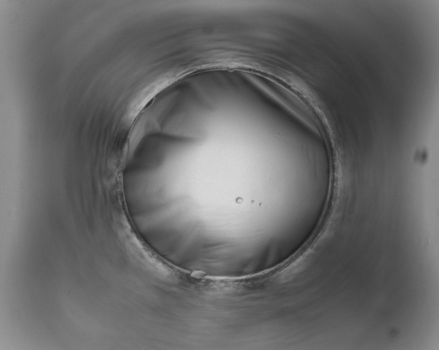 X0000112371385200909101311