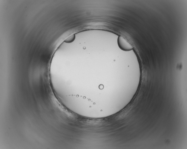 X0000112371386200909101311