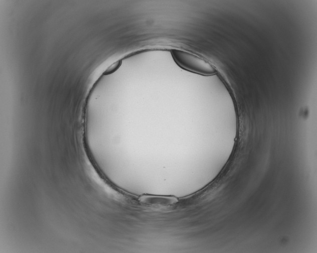 X0000112371387200909101311