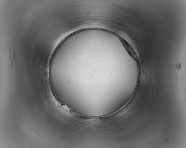X0000112371388200909101311