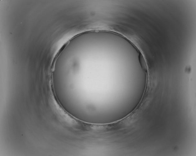 X0000112371389200909101311