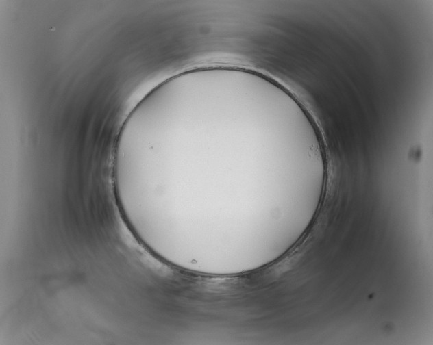 X0000112371390200909101311