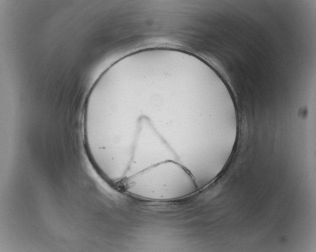 X0000112371391200909101311