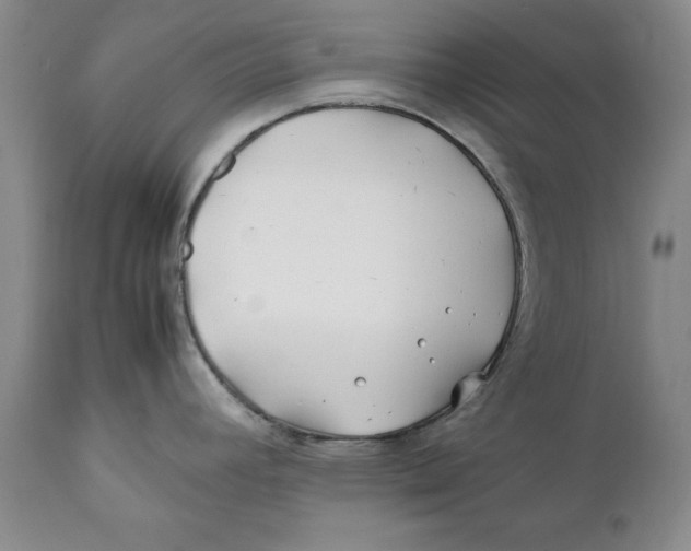 X0000112371392200909101311