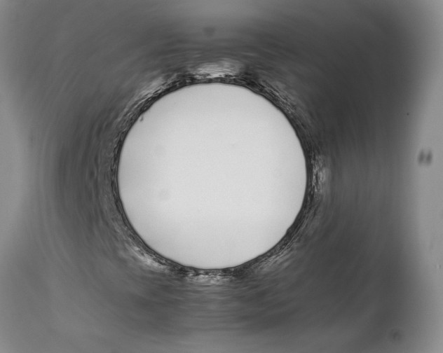 X0000112371393200909101310