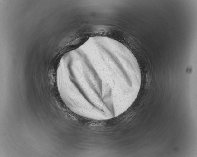 X0000112371394200909101310