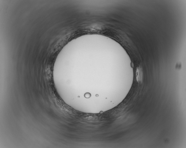 X0000112371395200909101310