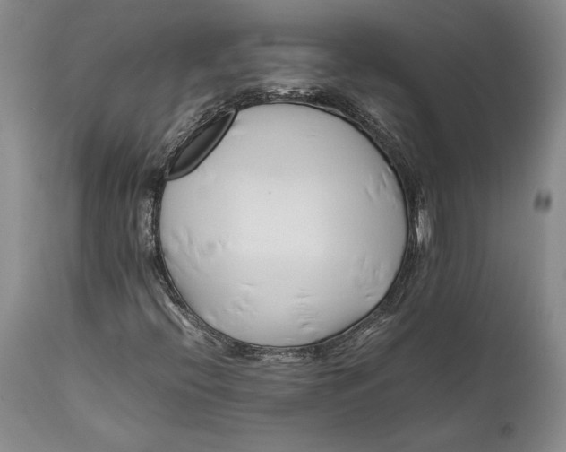 X0000112371396200909101310