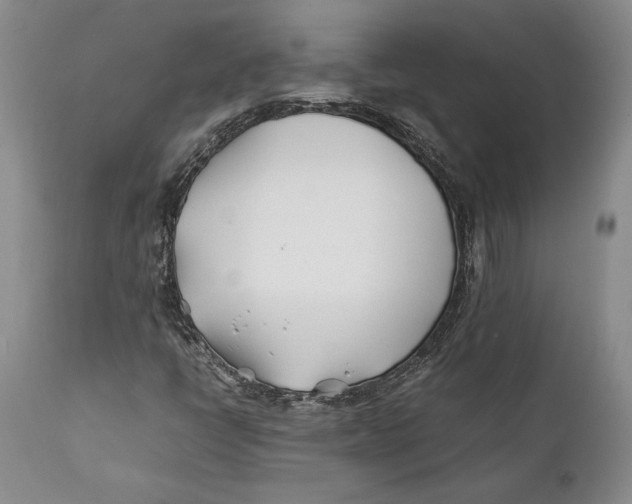 X0000112371398200909101310