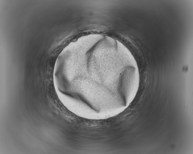 X0000112371399200909101310