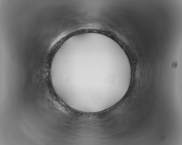 X0000112371400200909101310