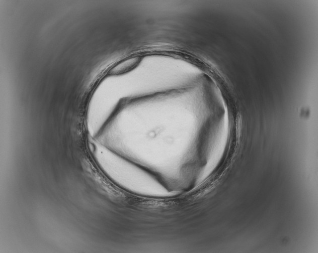 X0000112371405200909101310