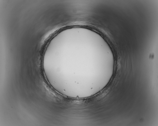 X0000112371406200909101310