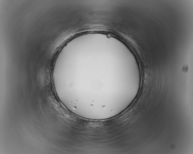 X0000112371407200909101311
