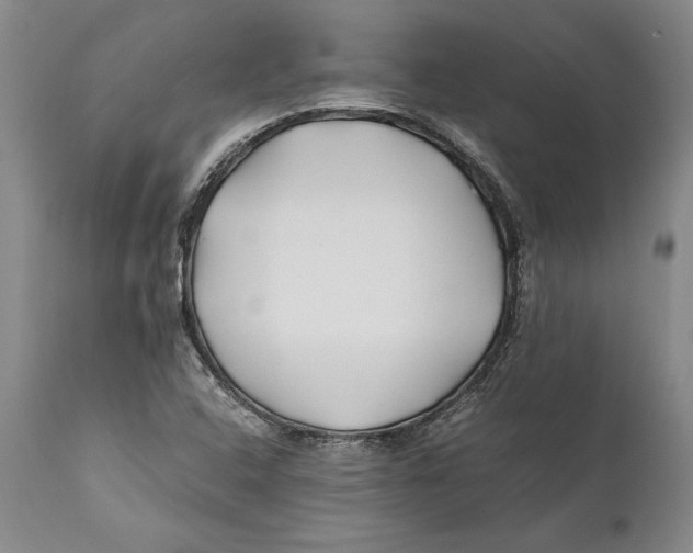 X0000112371408200909101311