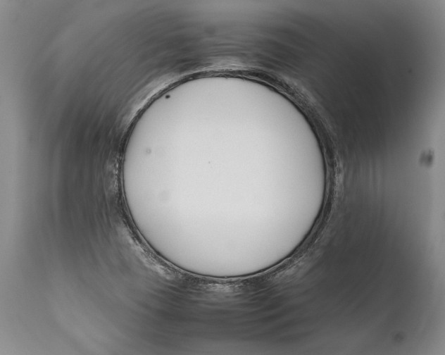 X0000112371409200909101311
