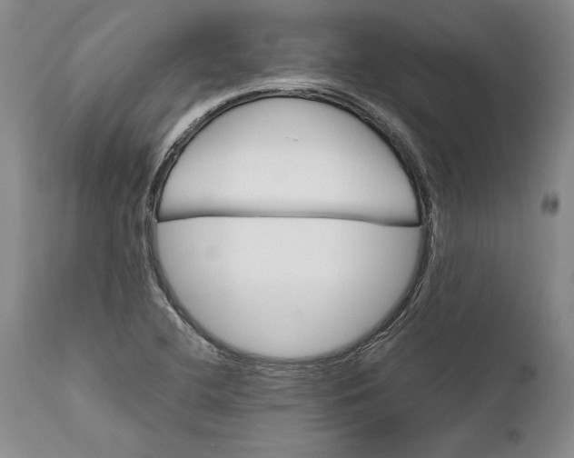 X0000112371412200909101311