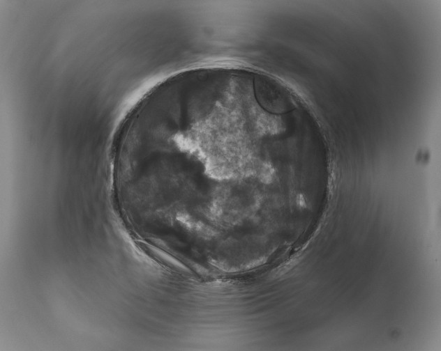 X0000112371414200909101311