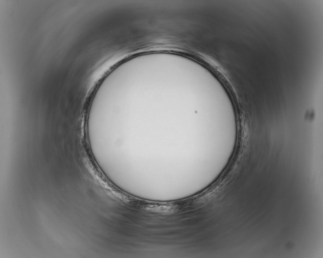 X0000112371415200909101311