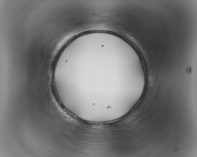 X0000112371416200909101311