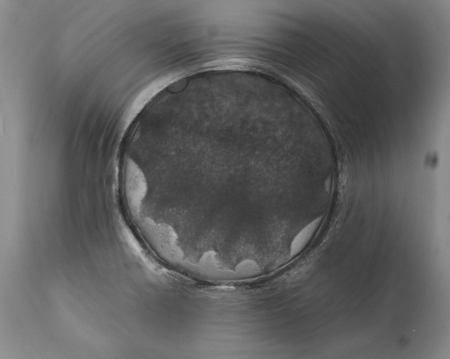 X0000112371418200909101311
