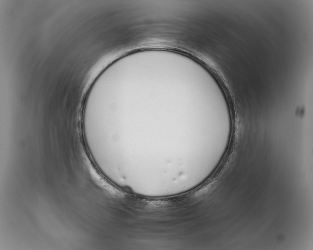 X0000112371421200909101311