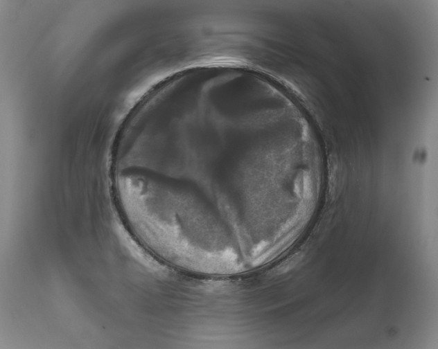 X0000112371422200909101311