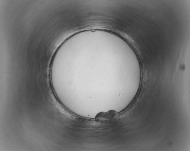 X0000112371423200909101311