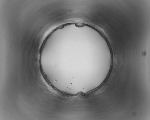 X0000112371424200909101311