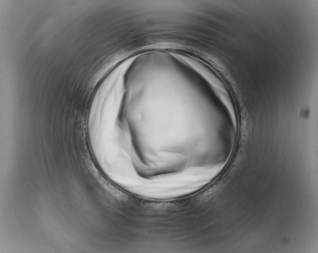 X0000112371425200909101311