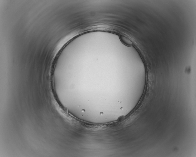 X0000112371426200909101311