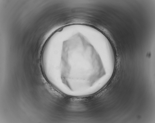 X0000112371427200909101311