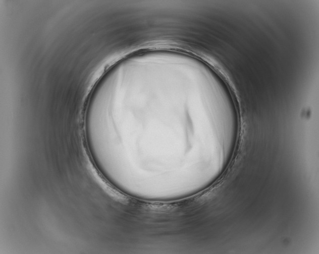 X0000112371429200909101311