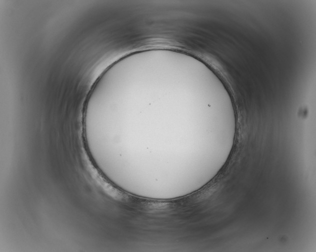 X0000112371431200909101311