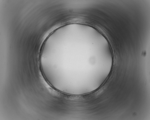 X0000112371434200909101311