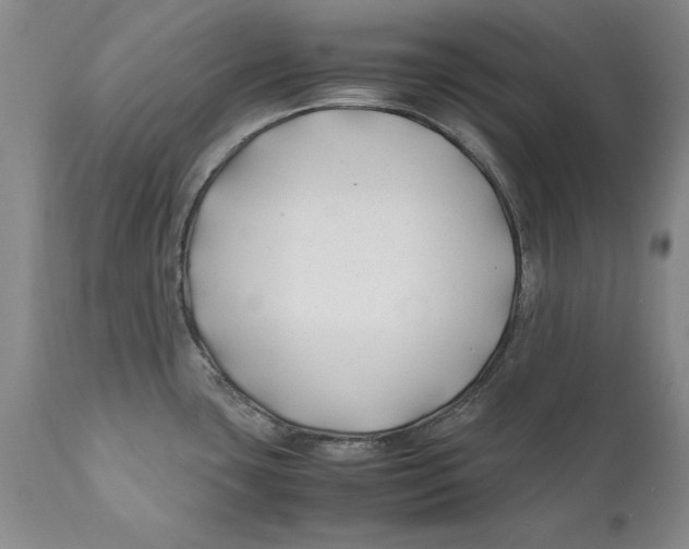 X0000112371435200909101311