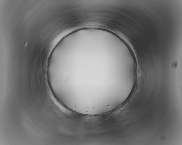 X0000112371437200909101311