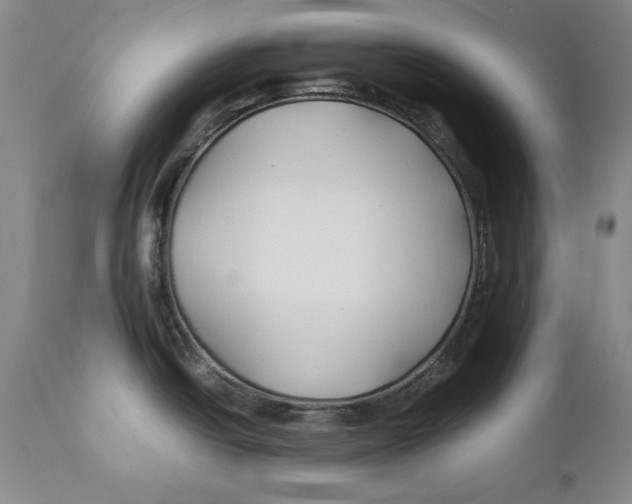 X0000112371438200909101311